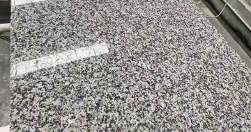 龙岩 芙蓉白光面