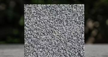 龙岩 芝麻黑荔枝面