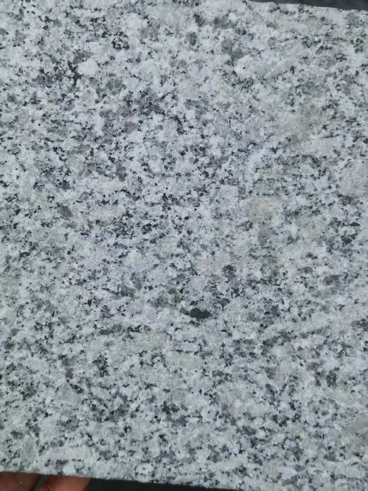 龙岩 芙蓉白火烧面
