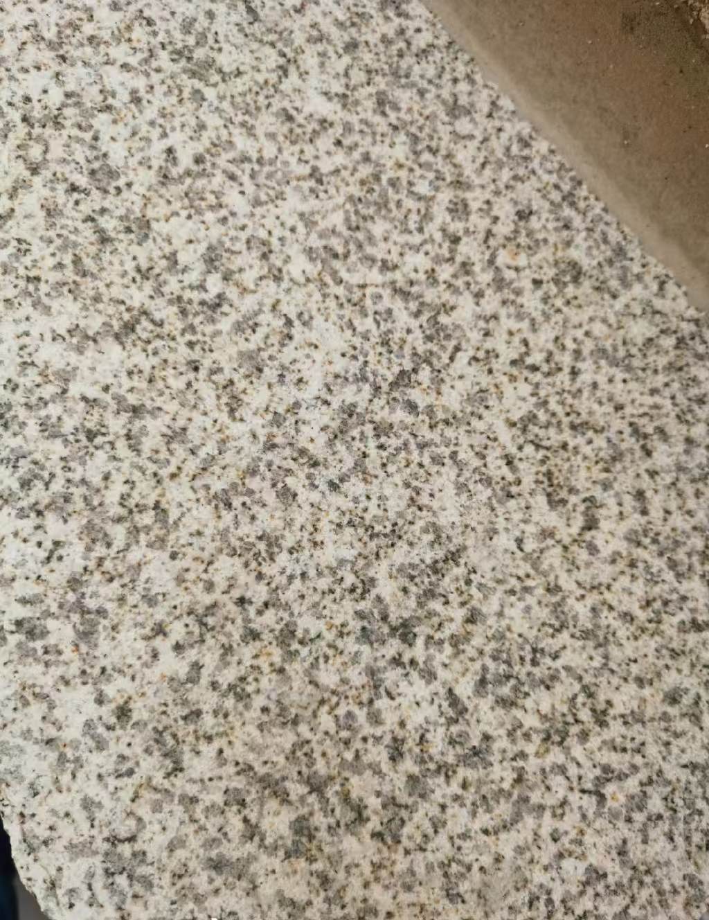 龙岩 黄金麻中黄光面