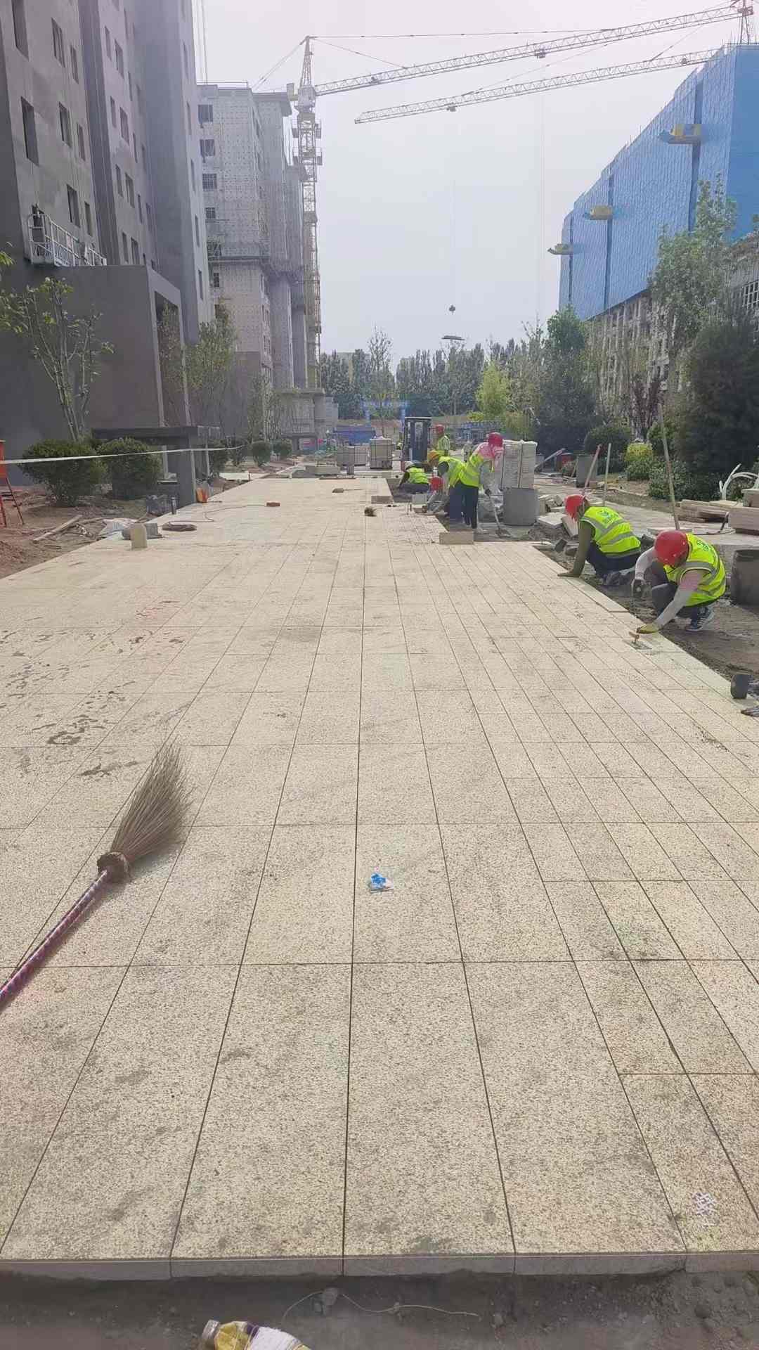 龙岩黄金麻荔枝面地铺案例